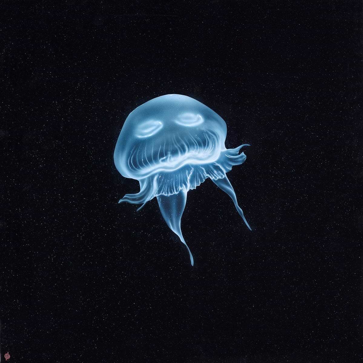 Jelly Galaxy