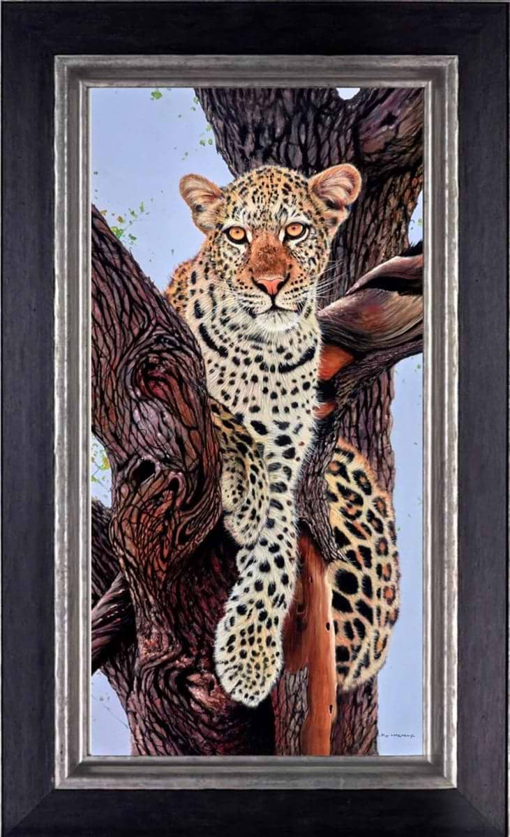 Leopard in Tree (Framed)