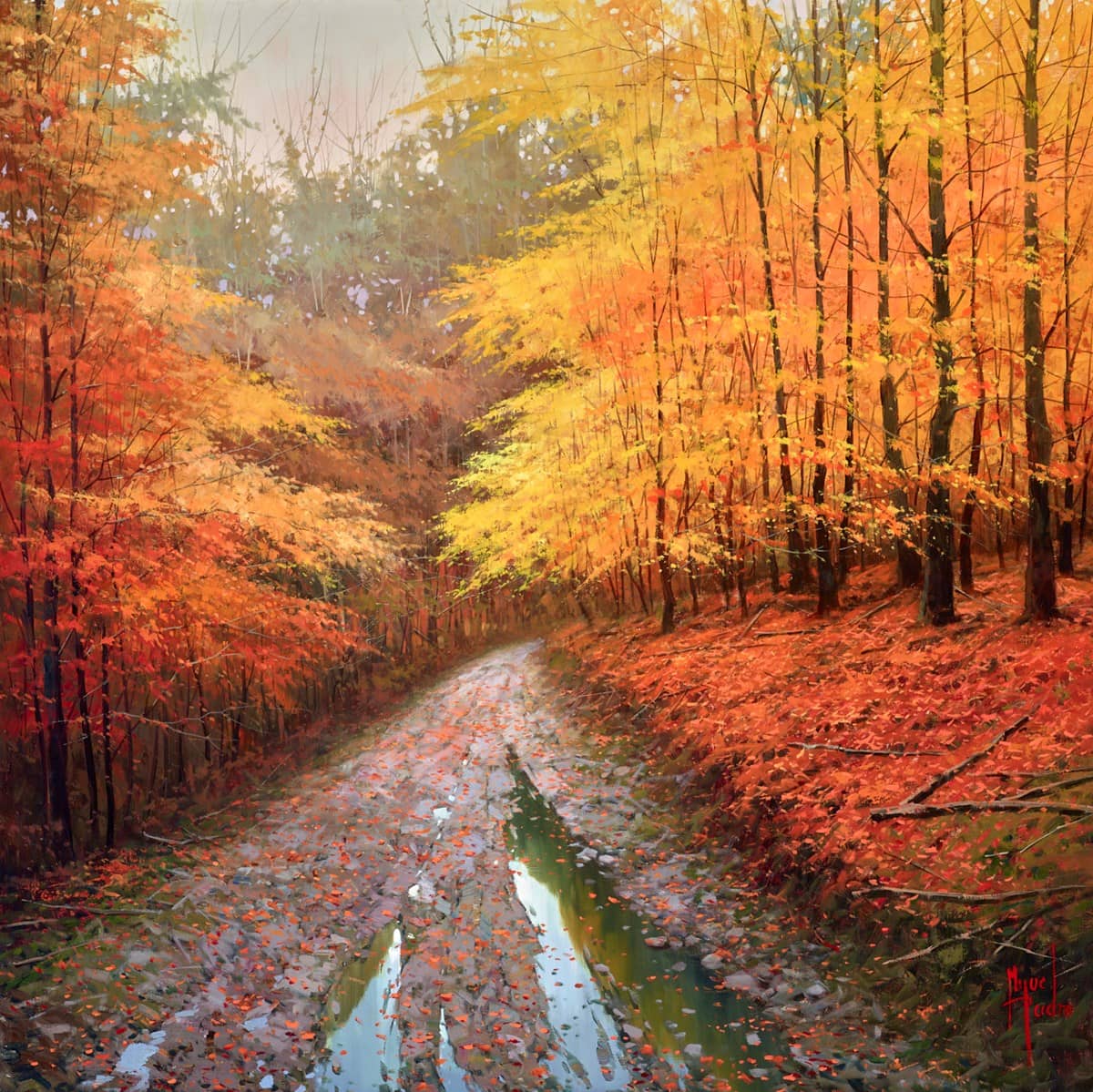 Bosque de Saja