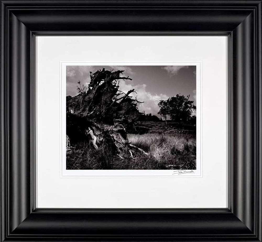 Becky in Uprooted Tree, 1984 (Framed)