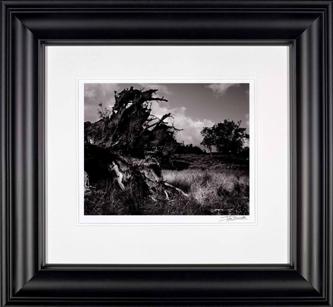 Becky in Uprooted Tree, 1984 (Framed)