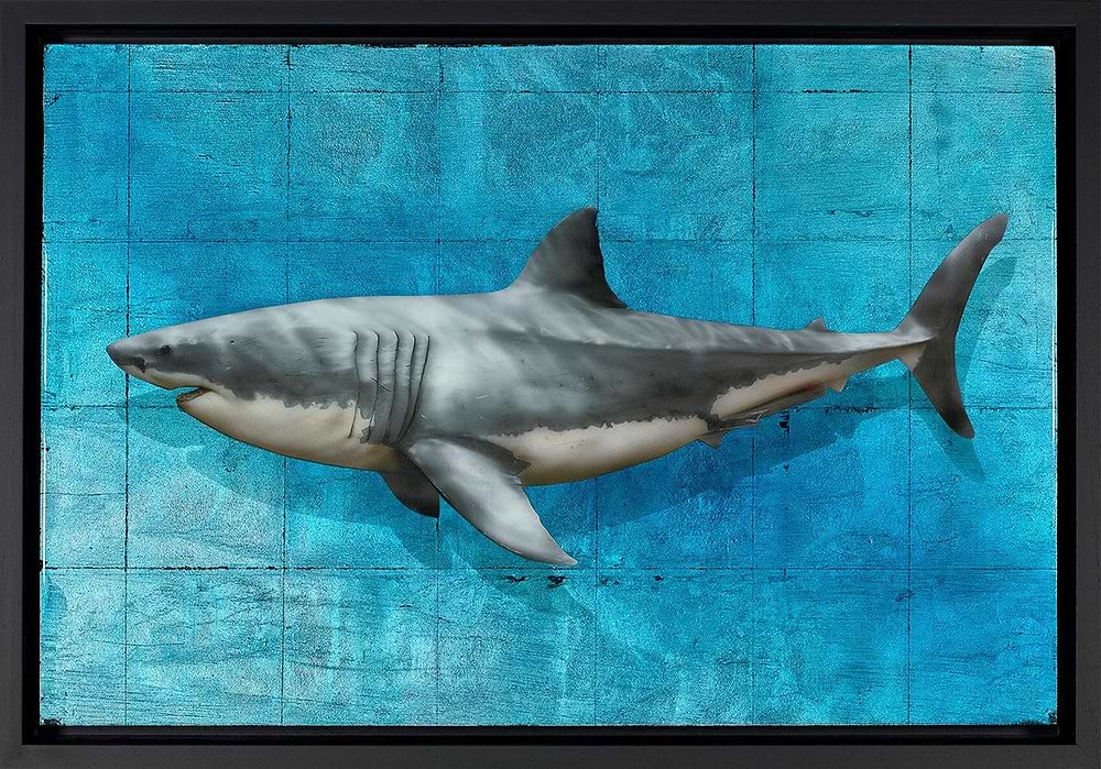 King of the Ocean (Framed)