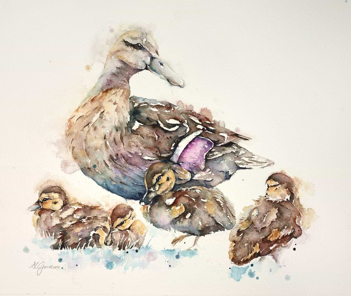 Young Mallard Family