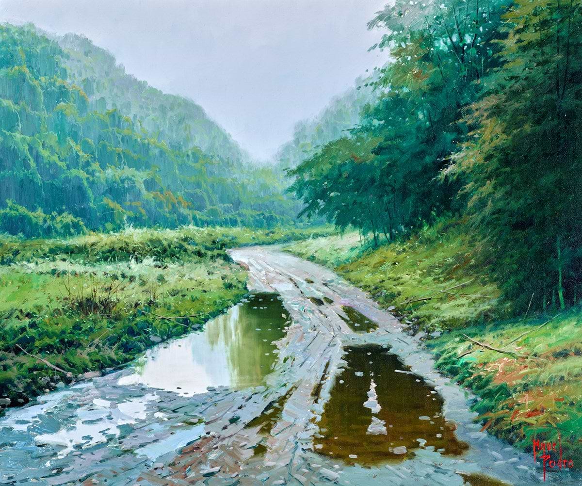 Lluvia en el valle de Baztan