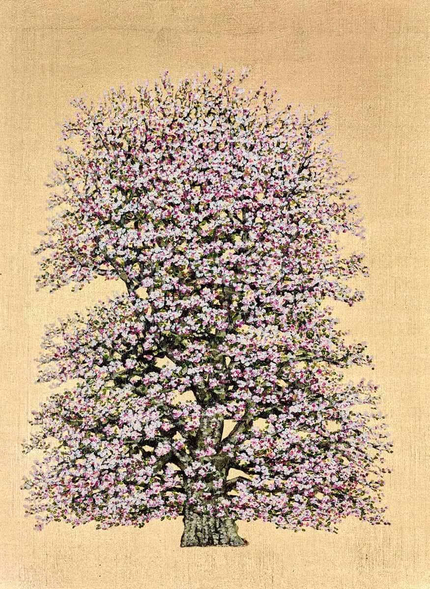 Penelope Flowering Damson Blossom