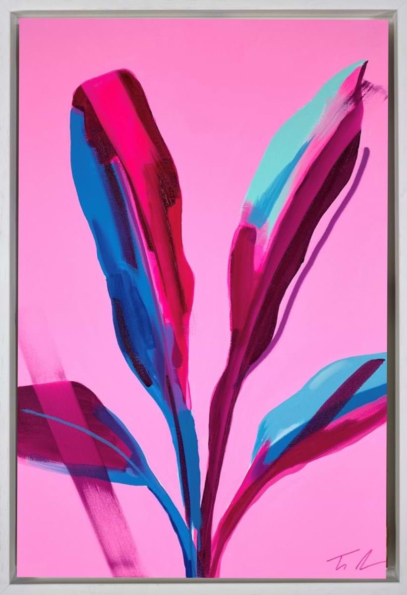 ピンクBANANA カストリ　劇画　PINK BANANA sludge Abyssinian Pink Banana | Tim Fowler – Clarendon Fine Art