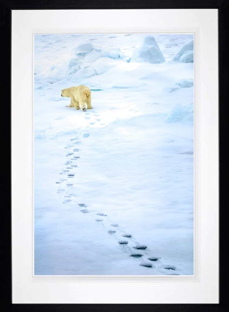 The Path Less Trodden (Framed)