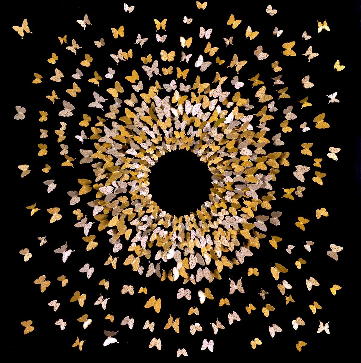 Gathering Butterflies II