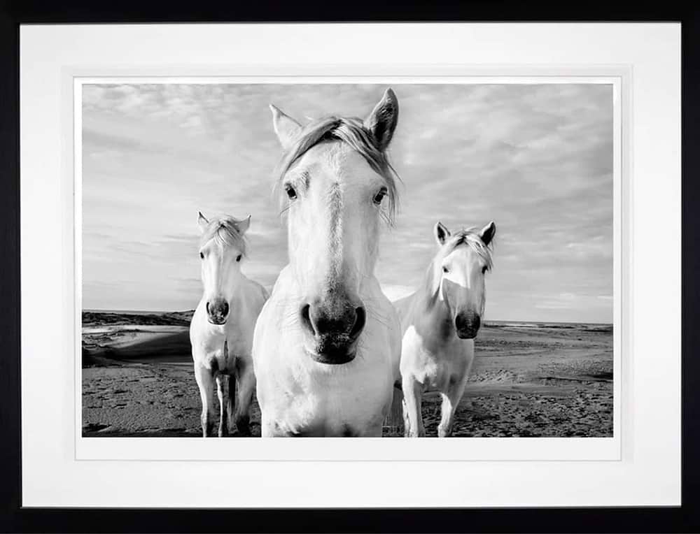 The Boys are Back in Town (Framed)
