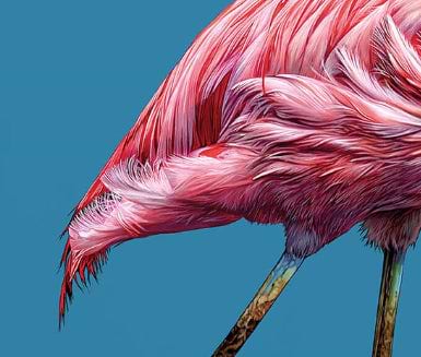 Strike a Pose (Detail2)