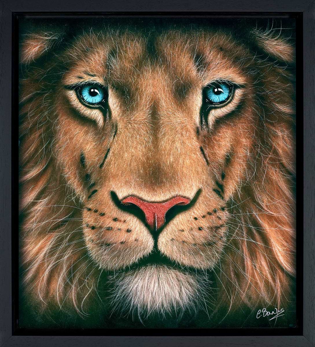 Face to Face (Framed)