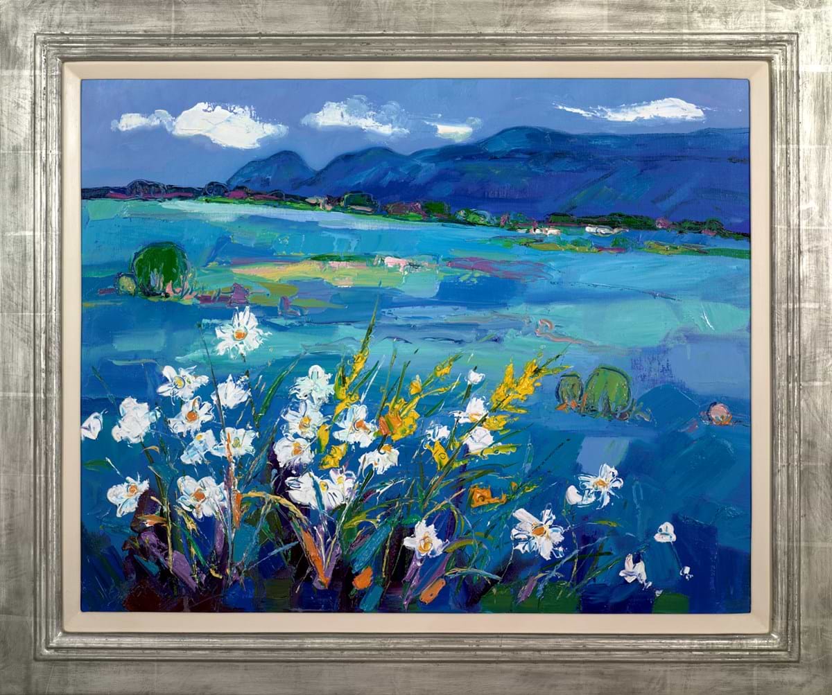 White Daisies and Flowering Broom,The Campsies