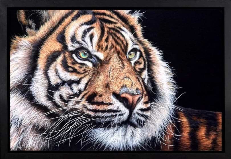 Relaxing Tiger (Framed)