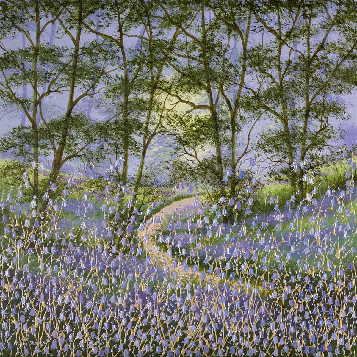 Bluebell Woods II