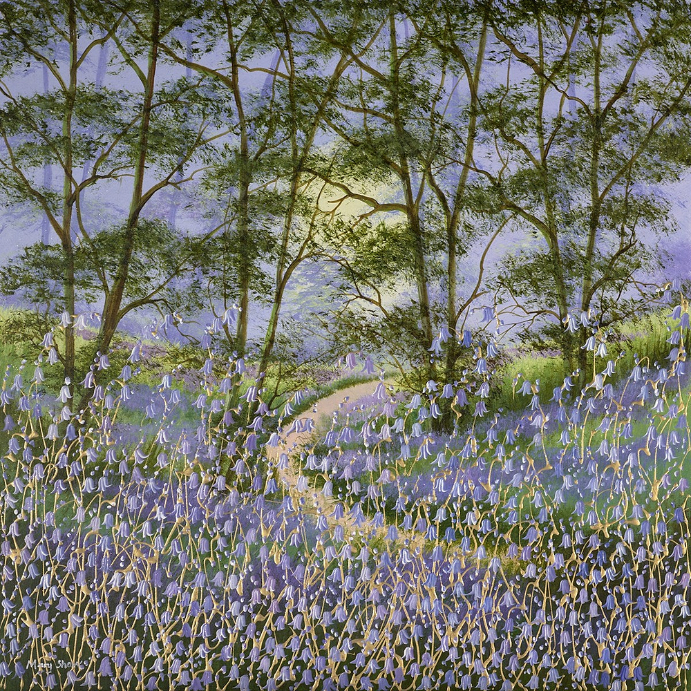 Bluebell Woods II