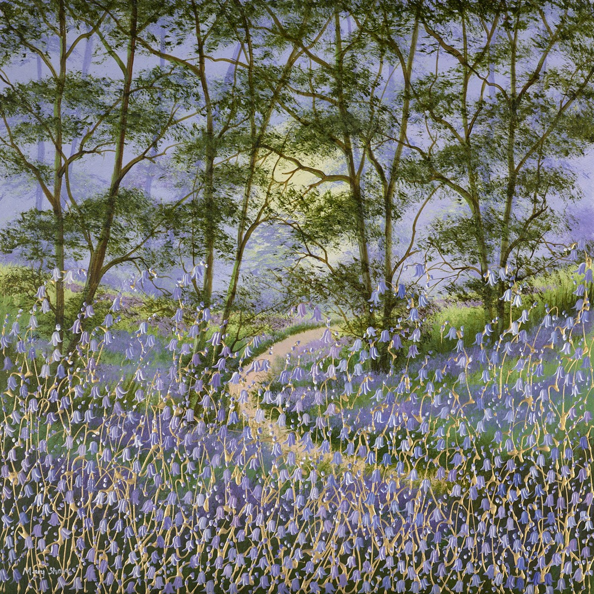 Bluebell Woods II