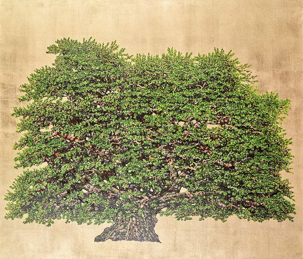 The Herman Oak