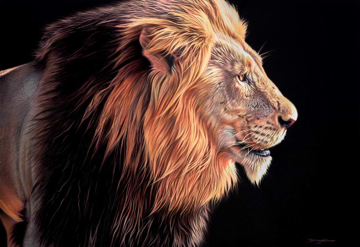 Lion | Darryn Eggleton – Clarendon Fine Art