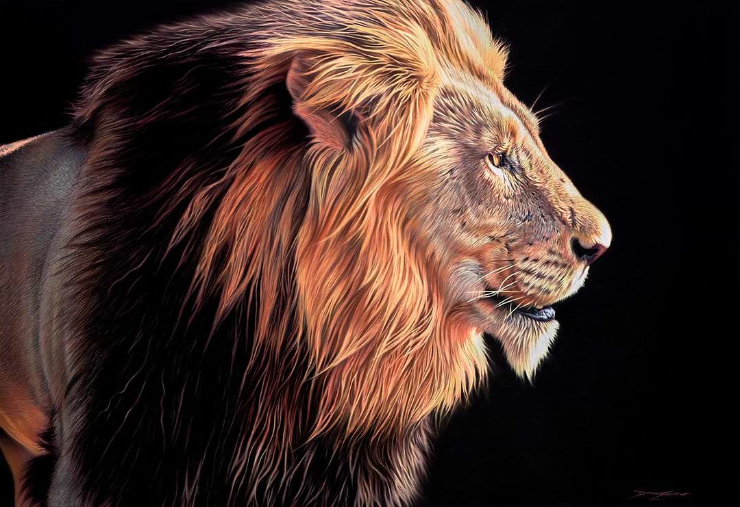 Lion