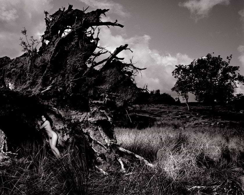 Becky in Uprooted Tree, 1984