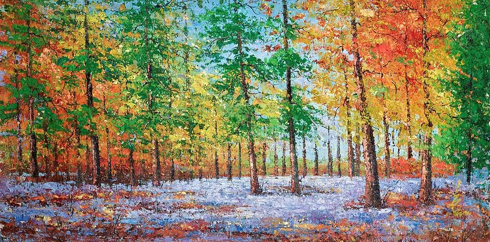 Rainbow Forest