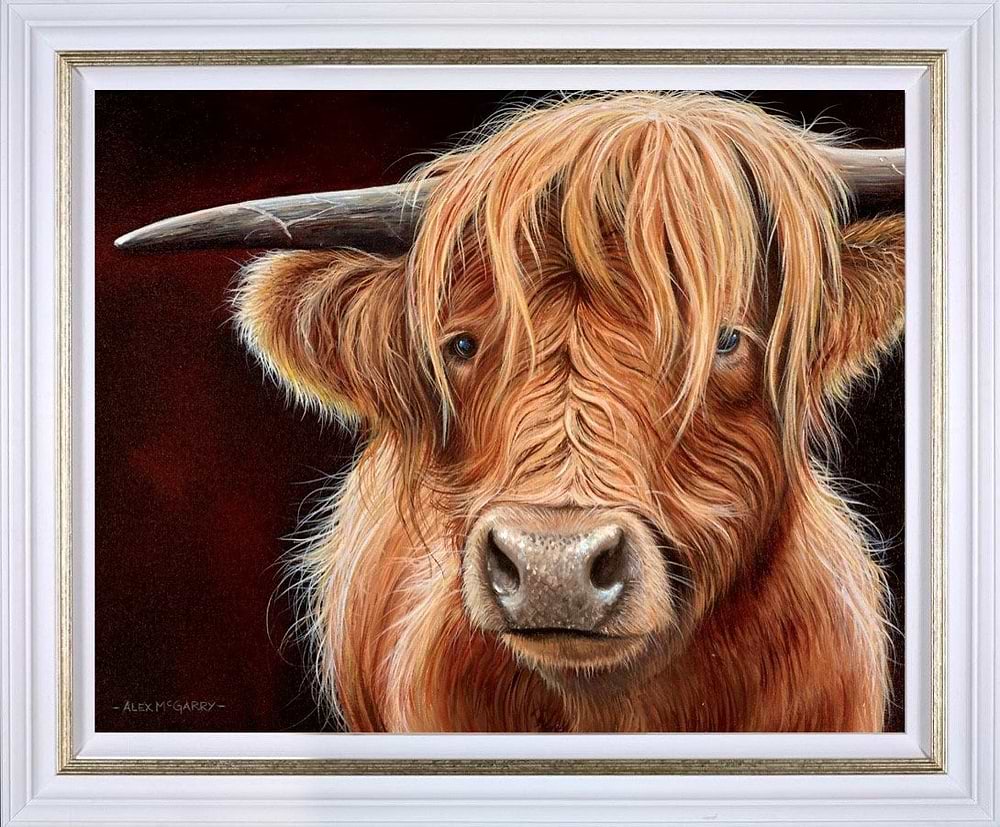 Highland Cow II (Framed)