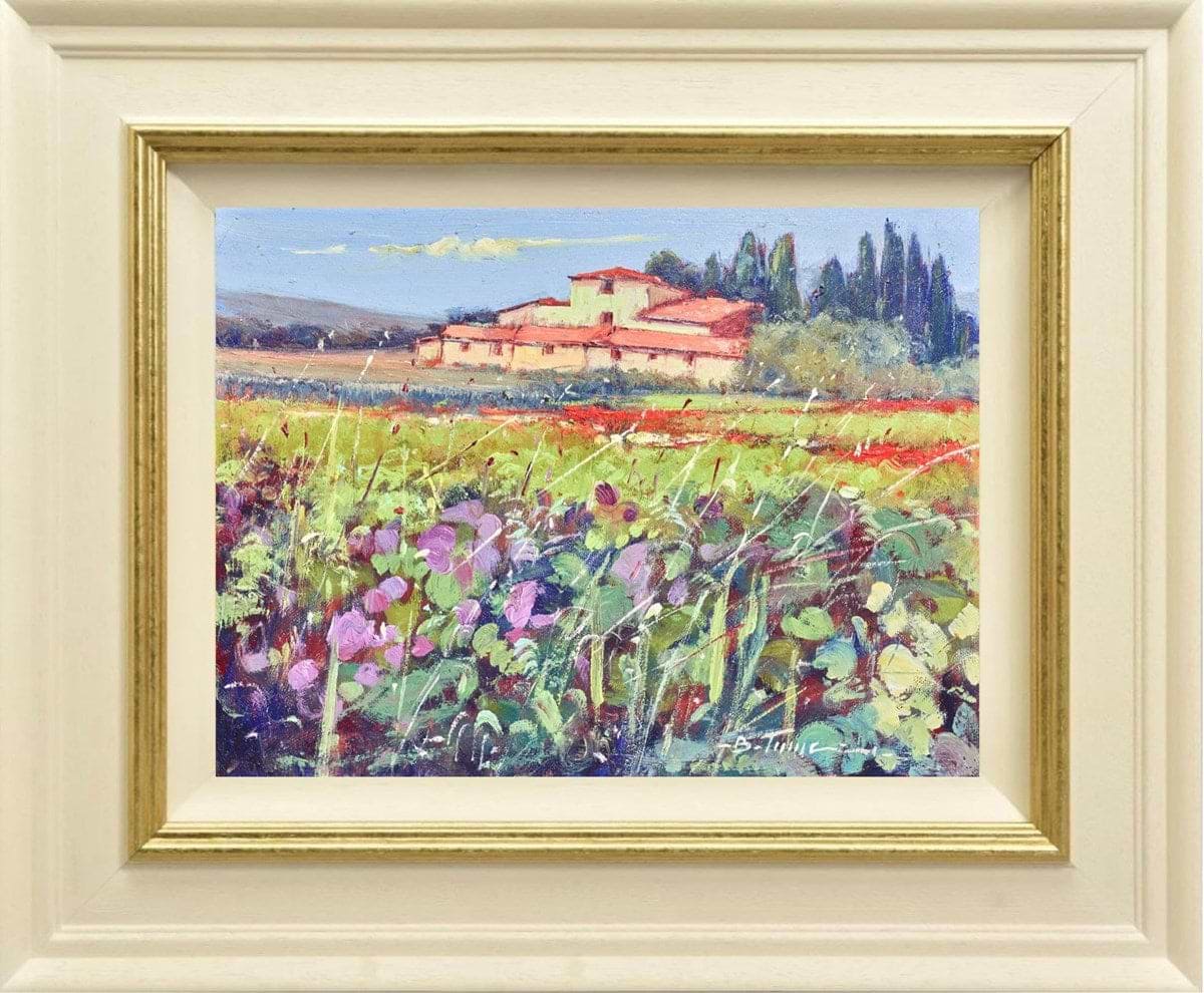 Campi Di Ametista (Framed)