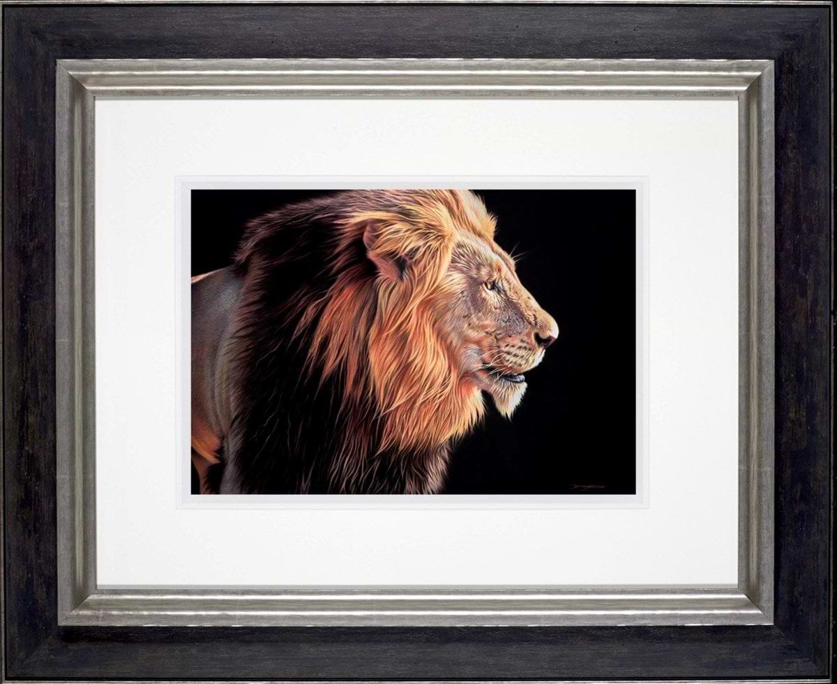 Lion | Darryn Eggleton – Clarendon Fine Art