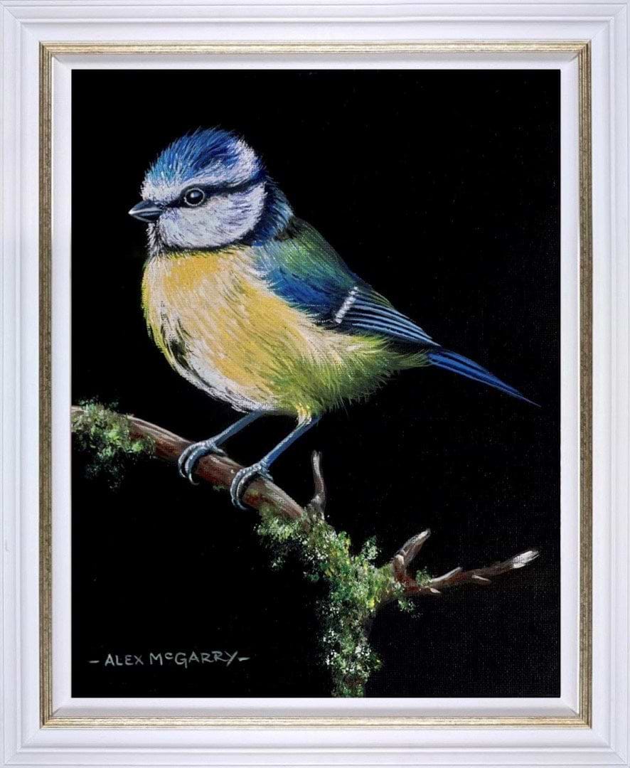 Bluetit V (Framed)