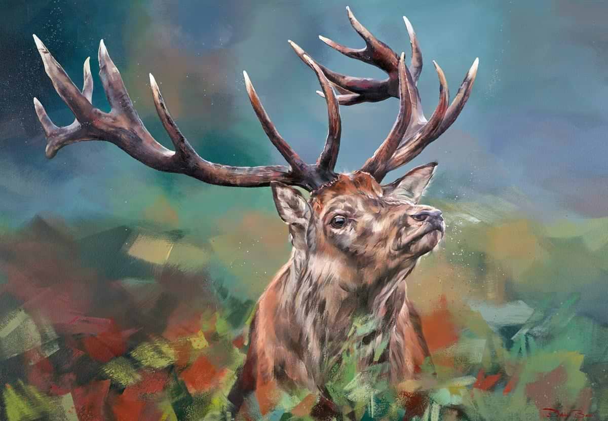 Stag