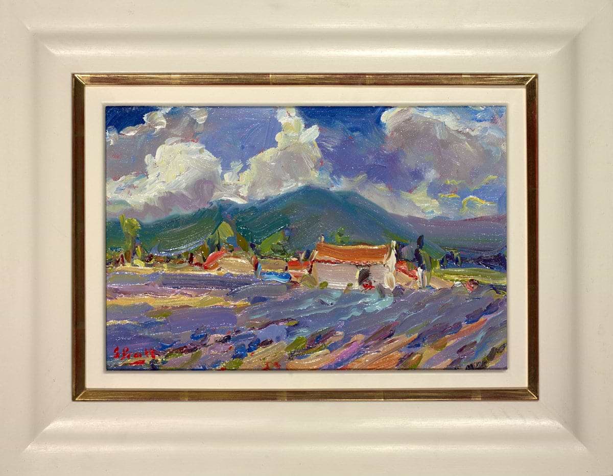 Lavender in Provence, near Sault
