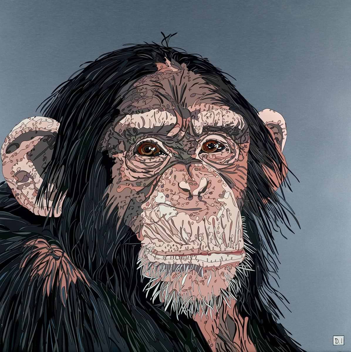 Cheeky Chimp