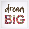 Dream Big