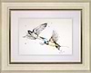 Summer Flypast- Swallows