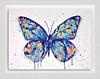 Butterfly Kisses