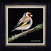 Goldfinch
