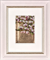 Studies In Bloom I