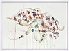 Blue Ringed Octopus II