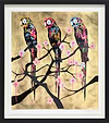 Polly Folly 16/25