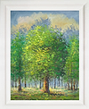 Summer Woodland