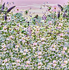 Whispers of the Meadow VI