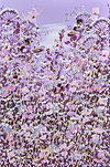 Purple Summer
