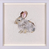 Little Bun (Framed)