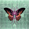 Butterfly Leaf - Ice Green