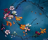 Floral Dance