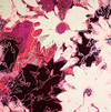 Flower Haze - Red