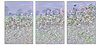 Summer Serenity I (triptych)