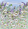 Wildflower Bloom IV