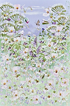 A Butterfly's Resting Place