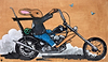 The Wild One ?